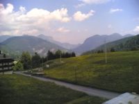 SAURIS05__15
