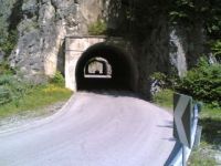 SAURIS05__17
