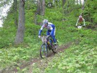 Waldviertel3