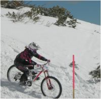Lisa2010Downhill