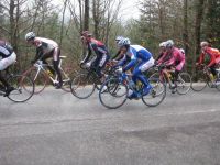 wienerwald_1_2010