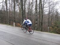 wienerwald_2_2010